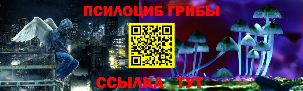 Галлюциногенные грибы прущие грибы Норильск